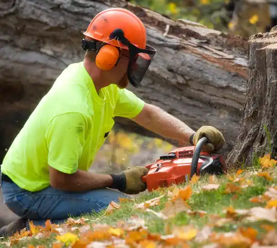 tree services Hamlet